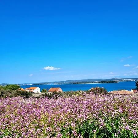 Διαμέρισμα Seaview